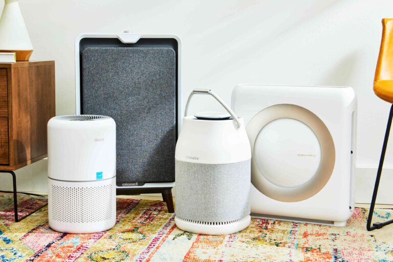 Best Air Purifiers For Allergies And Asthma