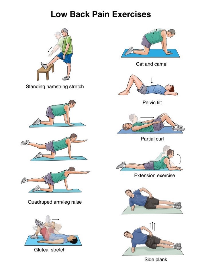 Best Exercises For Lower Back Pain Relief