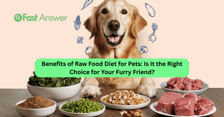 Benefits of Raw Food Diet for Pets: Is It the Right Choice for Your Furry Friend?