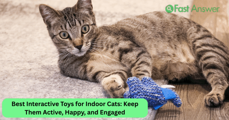 Best Interactive Toys for Indoor Cats: Keep Them Active, Happy, and Engaged