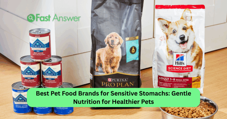 Best Pet Food Brands for Sensitive Stomachs: Gentle Nutrition for Healthier Pets