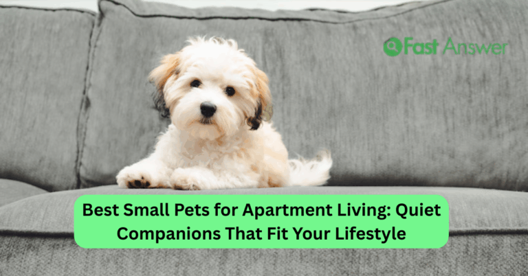 Best Small Pets for Apartment Living: Quiet Companions That Fit Your Lifestyle