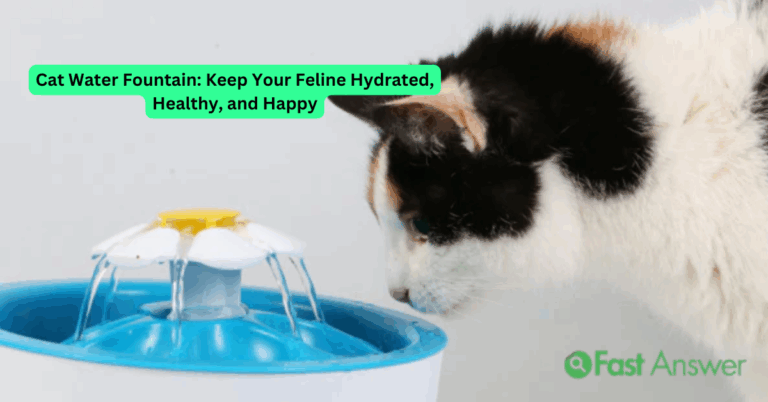 Cat Water Fountain: Keep Your Feline Hydrated, Healthy, and Happy