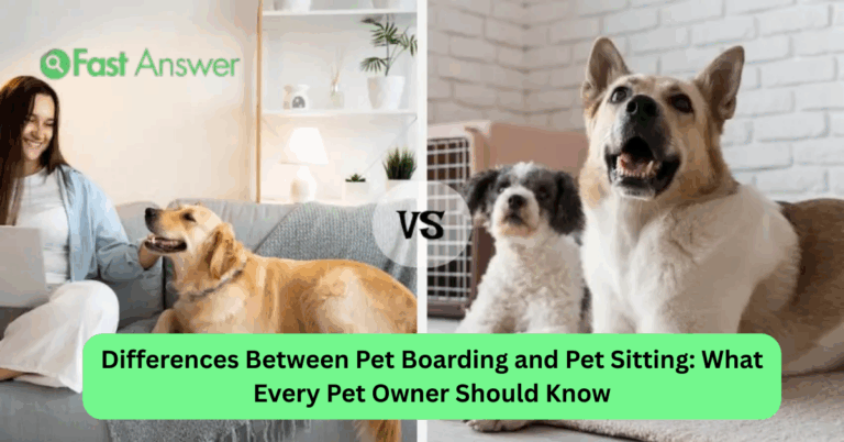 Differences Between Pet Boarding and Pet Sitting: What Every Pet Owner Should Know