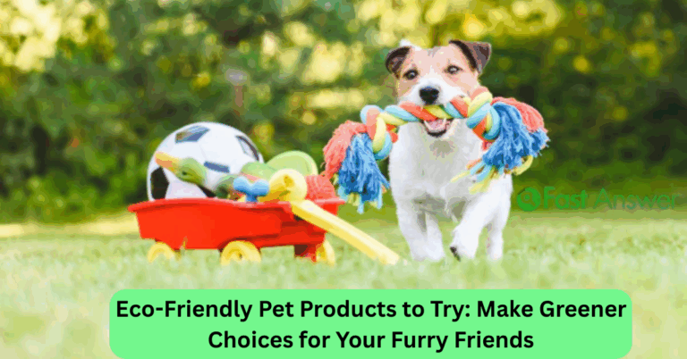 Eco-Friendly Pet Products to Try: Make Greener Choices for Your Furry Friends
