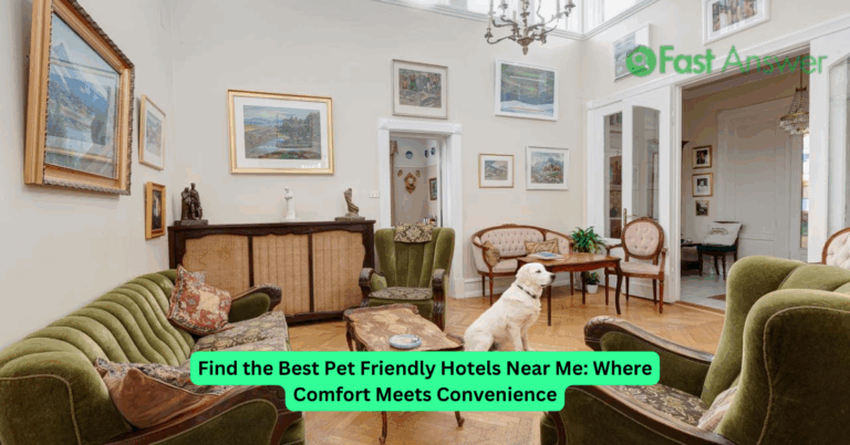 Find the Best Pet Friendly Hotels Near Me: Where Comfort Meets Convenience