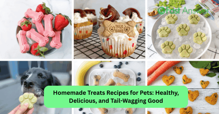 Homemade Treats Recipes for Pets: Healthy, Delicious, and Tail-Wagging Good