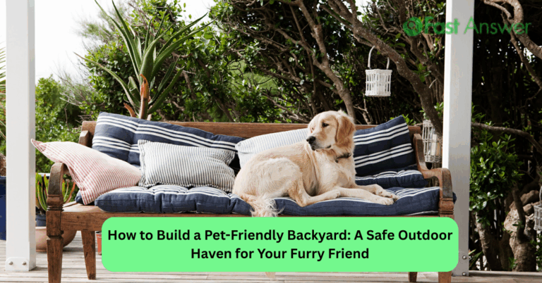 How to Build a Pet-Friendly Backyard: A Safe Outdoor Haven for Your Furry Friend