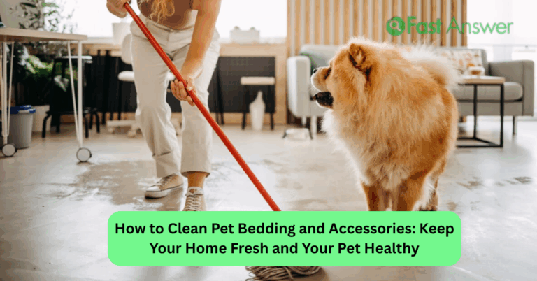 How to Clean Pet Bedding and Accessories: Keep Your Home Fresh and Your Pet Healthy
