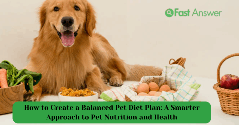 How to Create a Balanced Pet Diet Plan: A Smarter Approach to Pet Nutrition and Health