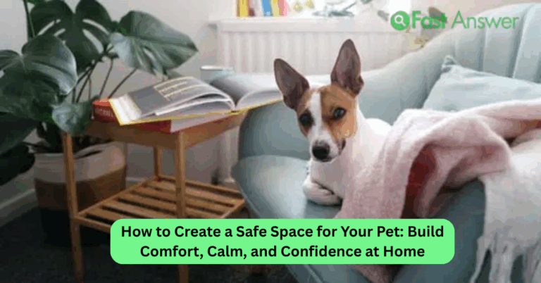 How to Create a Safe Space for Your Pet: Build Comfort, Calm, and Confidence at Home