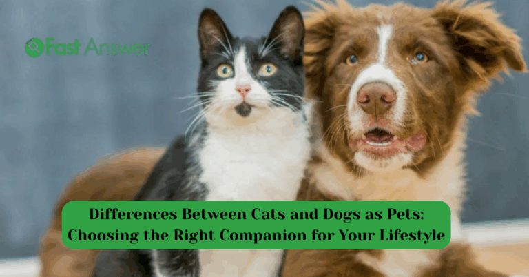 Differences Between Cats and Dogs as Pets: Choosing the Right Companion for Your Lifestyle