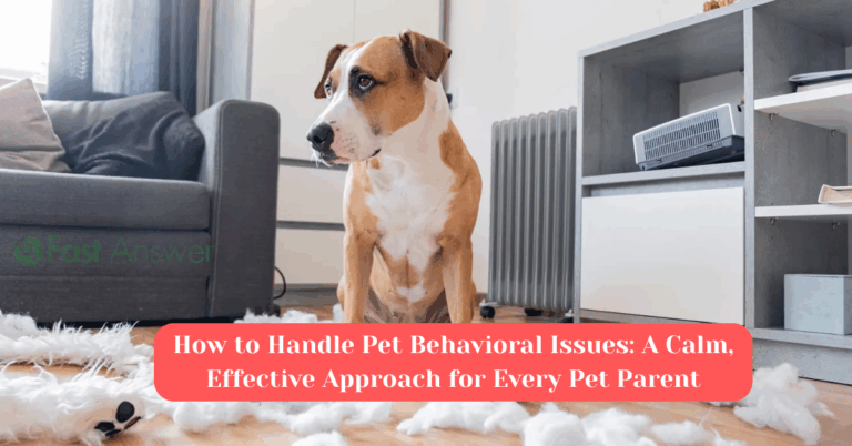 How to Handle Pet Behavioral Issues: A Calm, Effective Approach for Every Pet Parent
