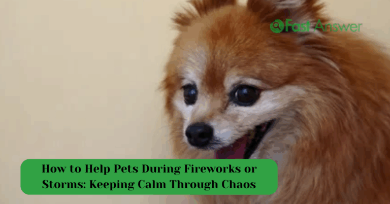 How to Help Pets During Fireworks or Storms: Keeping Calm Through Chaos