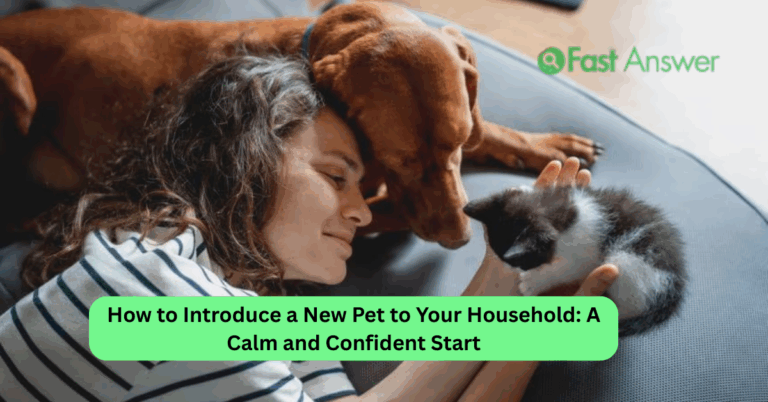 How to Introduce a New Pet to Your Household: A Calm and Confident Start