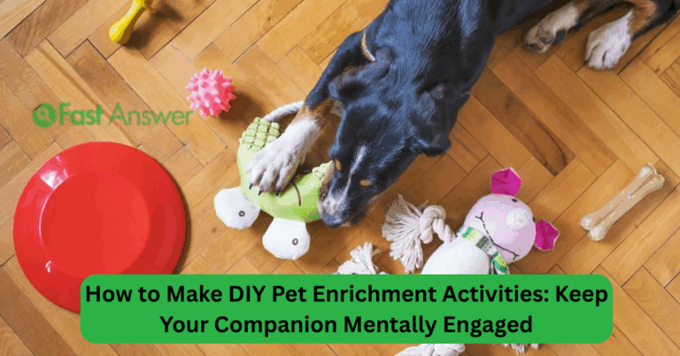 How to Make DIY Pet Enrichment Activities: Keep Your Companion Mentally Engaged