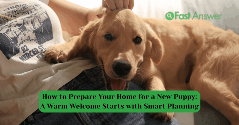 How to Prepare Your Home for a New Puppy: A Warm Welcome Starts with Smart Planning