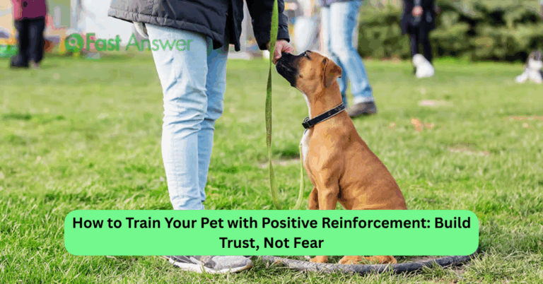 How to Train Your Pet with Positive Reinforcement: Build Trust, Not Fear