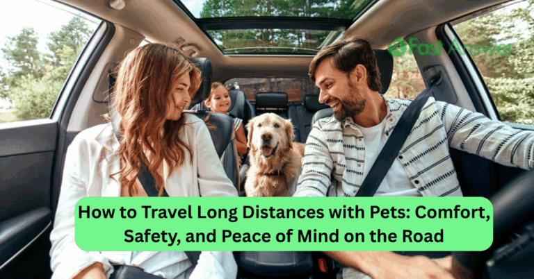 How to Travel Long Distances with Pets: Comfort, Safety, and Peace of Mind on the Road