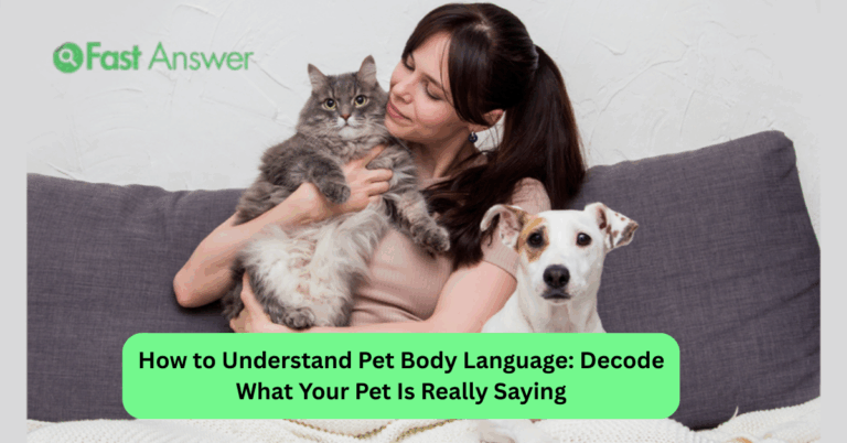 How to Understand Pet Body Language: Decode What Your Pet Is Really Saying