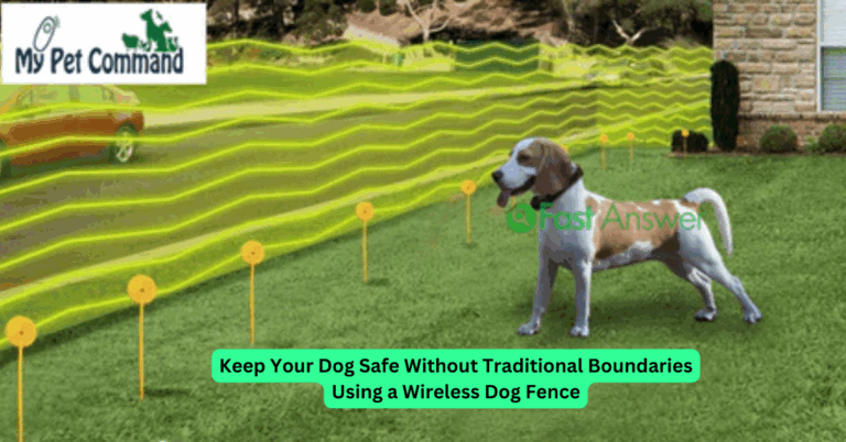 Keep Your Dog Safe Without Traditional Boundaries Using a Wireless Dog Fence