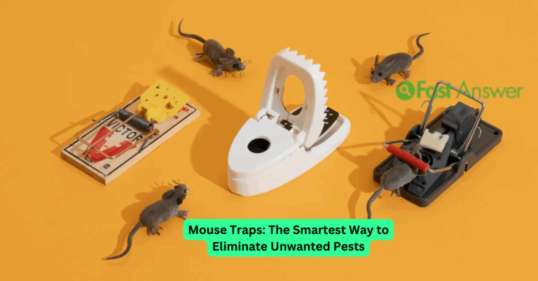 Mouse Traps: The Smartest Way to Eliminate Unwanted Pests