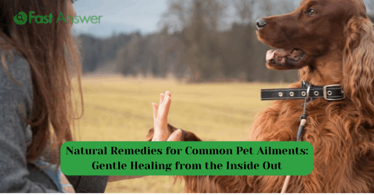 Natural Remedies for Common Pet Ailments: Gentle Healing from the Inside Out