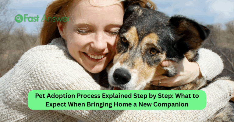 Pet Adoption Process Explained Step by Step: What to Expect When Bringing Home a New Companion