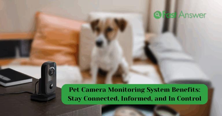 Pet Camera Monitoring System Benefits: Stay Connected, Informed, and In Control