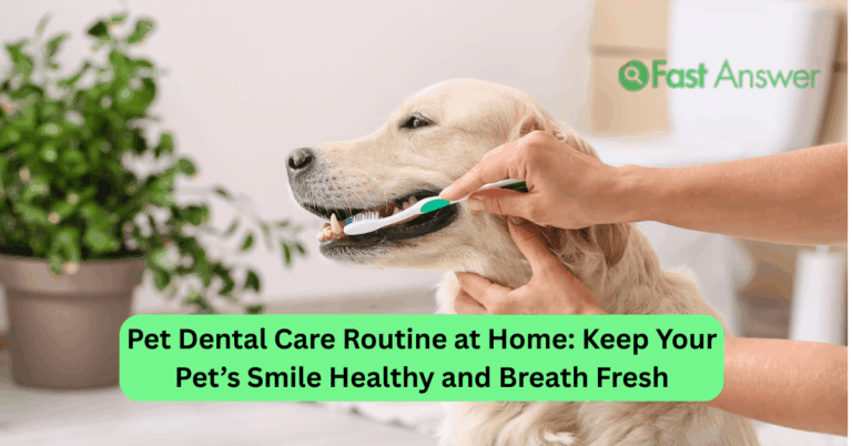 Pet Dental Care Routine at Home: Keep Your Pet’s Smile Healthy and Breath Fresh