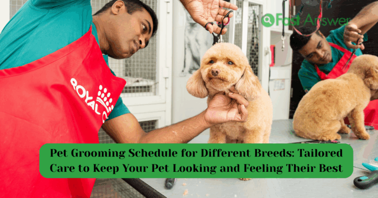 Pet Grooming Schedule for Different Breeds: Tailored Care to Keep Your Pet Looking and Feeling Their Best