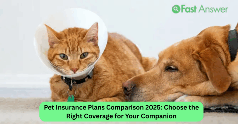 Pet Insurance Plans Comparison 2025: Choose the Right Coverage for Your Companion