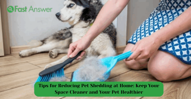 Tips for Reducing Pet Shedding at Home: Keep Your Space Cleaner and Your Pet Healthier