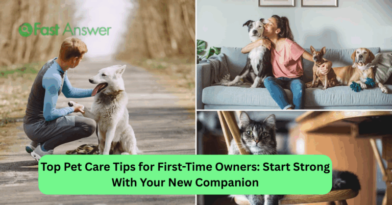 Top Pet Care Tips for First-Time Owners: Start Strong With Your New Companion