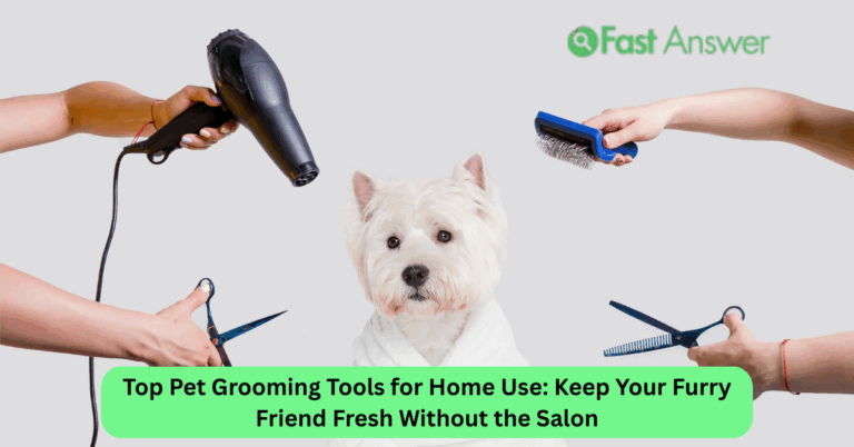 Top Pet Grooming Tools for Home Use: Keep Your Furry Friend Fresh Without the Salon