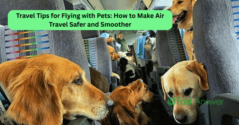 Travel Tips for Flying with Pets: How to Make Air Travel Safer and Smoother