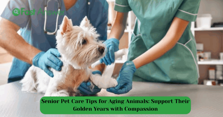 Senior Pet Care Tips for Aging Animals: Support Their Golden Years with Compassion